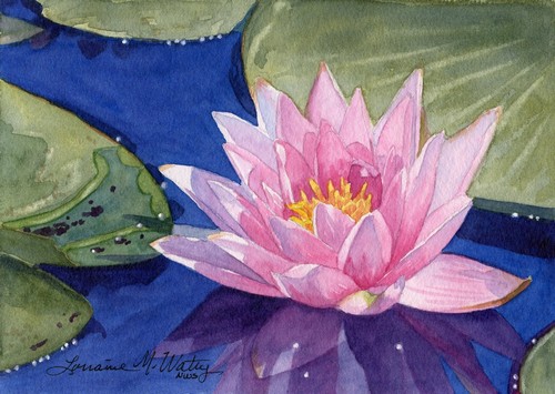 Pink Waterlily 4.5x6.5 $245 at Hunter Wolff Gallery